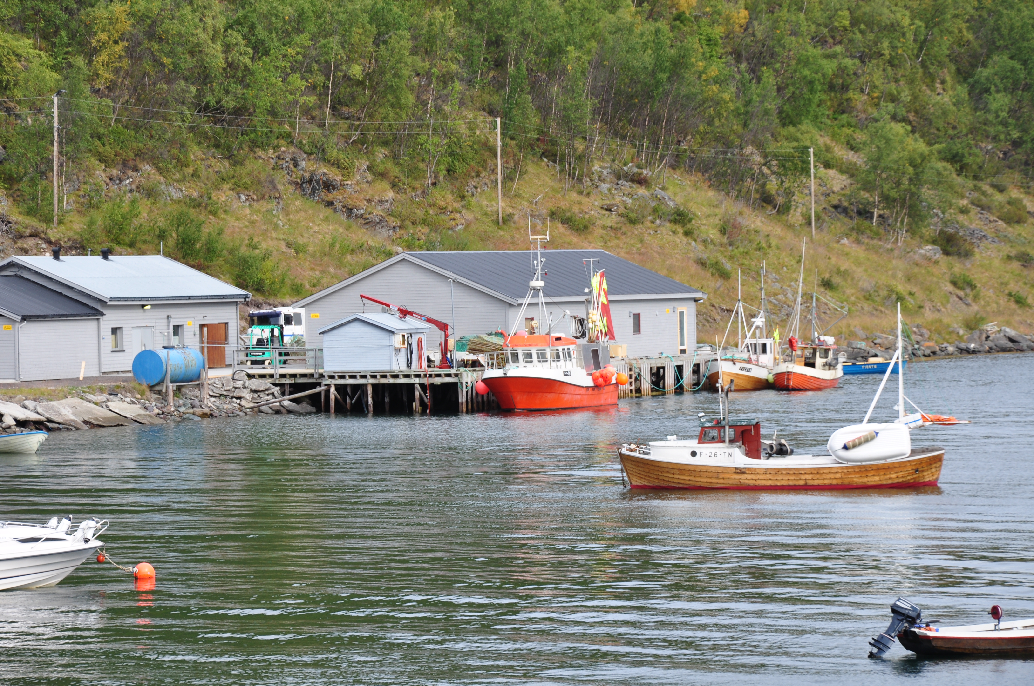 Sjursjok 12