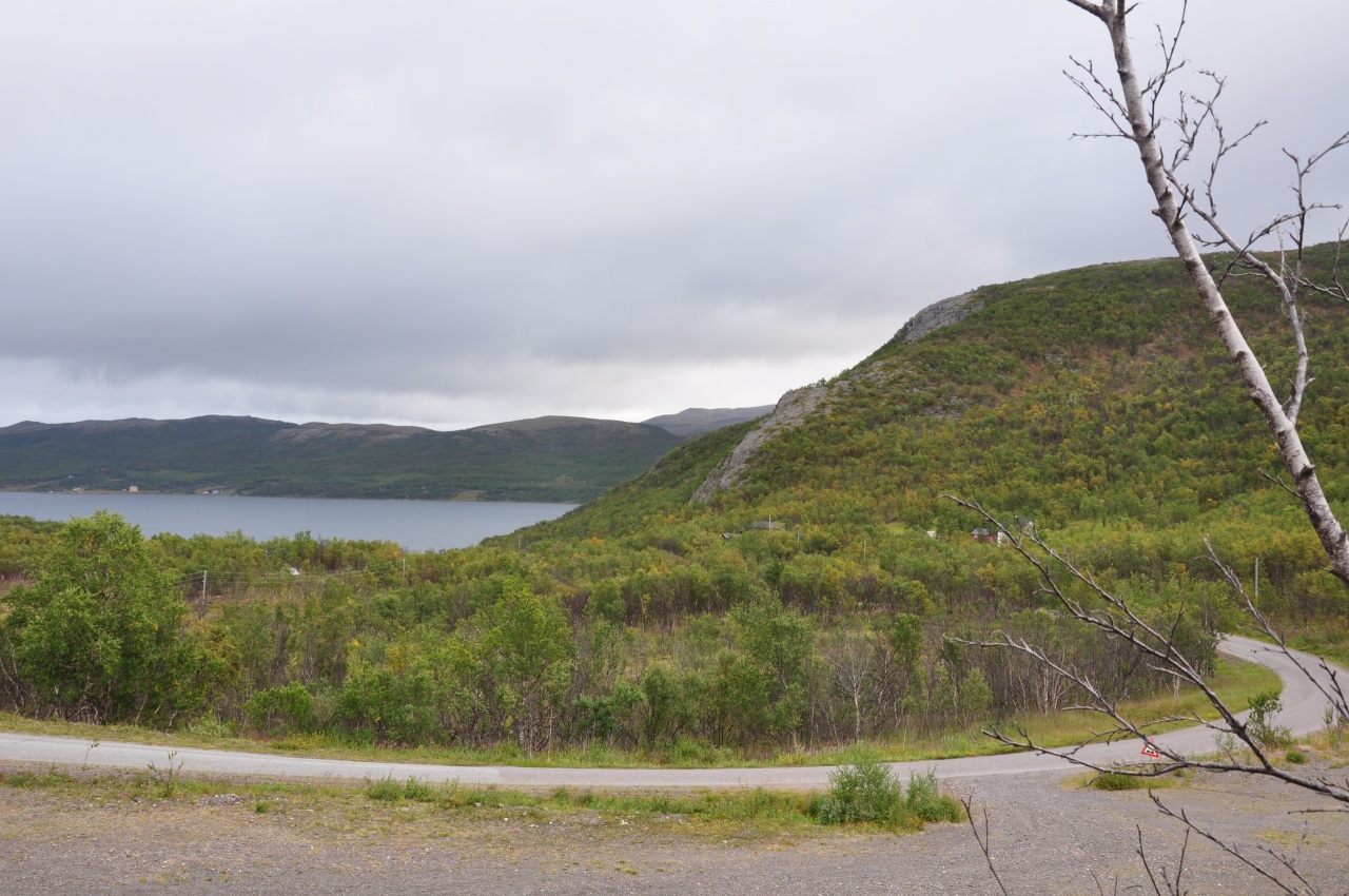 Sjursjok 16